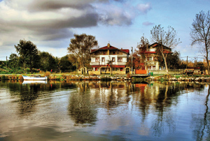 Karasu ve Acarlar Longozu / Dr. Mehmet Gülçubuk