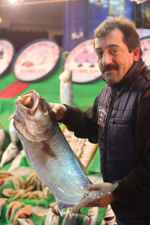 Mevsime Göre Balık / Kenan Sarıyaprak