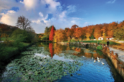 İstanbul'da Saklı Canlı Bitki Müzesi / Dr. Mehmet Gülçubuk