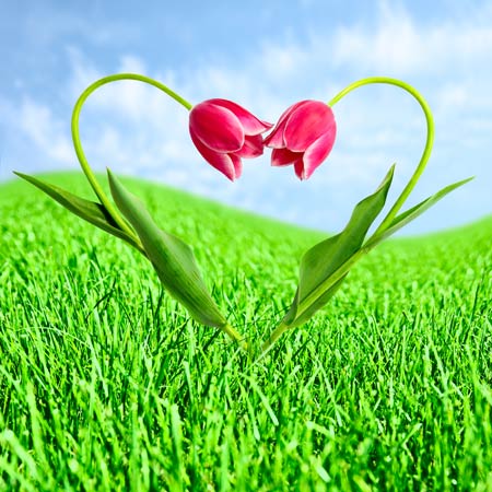 Doğru Evlilik Kendini Doğru Tanımayla Başlar / Psikolog Mehtap Kayaoğlu