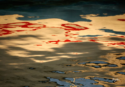 Su Yüzeyi Fotoğrafçılığı Sudan Yansıyıp Objektife Yakalanan Kareler / Su Yüzeyi Fotoğrafçısı Feyzullah Baytekin