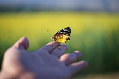 Pozitif Psikoloji / Doç. Dr. Tayfun Doğan