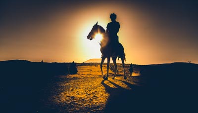 Tarih Bilinci ve Tarihi Romanlar / Roman Yazarı Okay Tiryakioğlu