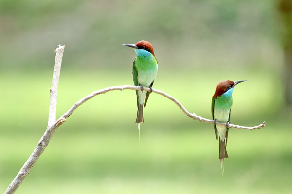 Gelin Kayınvalide İlişkileri / Uzman Psikolojik Danışman Esra Aydın Gökgöz