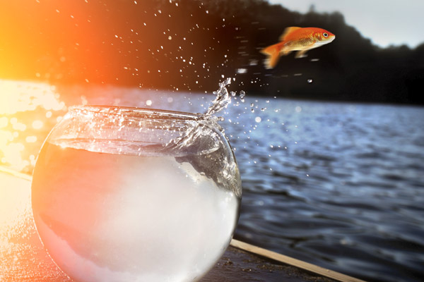 Sahte Kendilikten Gerçek Maneviyata… 