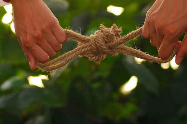 Aile Halinde Yaşama Yaradılış Gereğidir / Prof. Dr. Sefa Saygılı