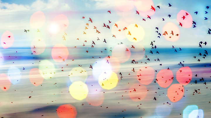 Gözlük, Saat, Altın 8